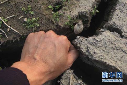 江西省湖口縣境內鄱陽湖湖灘上干涸的裂縫中可以放進一只成年人的拳頭（12月10日攝）。新華社發（張俊 攝）