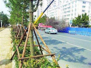 青島東海路整修五一前結束