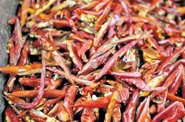 青島醫院食堂發霉辣椒炒菜 果醬過期半年