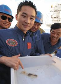 蛟龍號下潛試驗撈起白色海參
