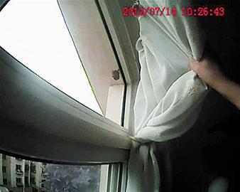 野生馬蜂叮一口茶農立刻呼吸困難 渾身紅斑險喪命