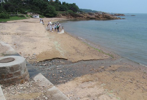 八大關景區海面臭跑游人 原是一隔油池出問題