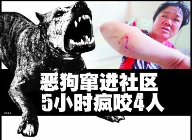 青島啃臉瘋狗闖小區連咬4人 女子嘴唇被咬掉一塊肉