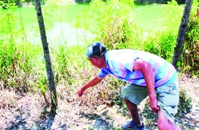 青島祖孫離奇溺亡水塘尸體頭部不停冒血 家人懸賞捉兇 青島祖孫離奇溺亡水塘尸體頭部不停冒血 家人懸賞捉兇