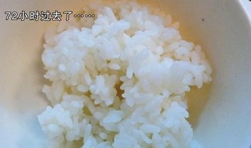 空調散熱片藏匿大量細菌 米飯吹三天發霉
