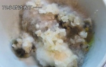 空調散熱片藏匿大量細菌 米飯吹三天發霉