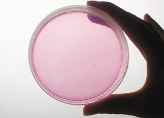 空調散熱片藏匿大量細菌 米飯吹三天發霉