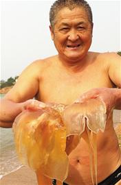 海蜇秋發威上千人被咬傷