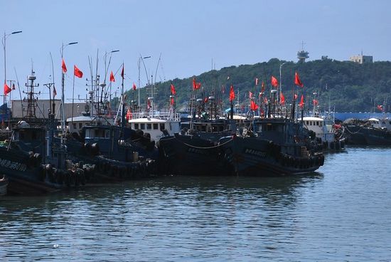 本網直擊開海首日大豐收