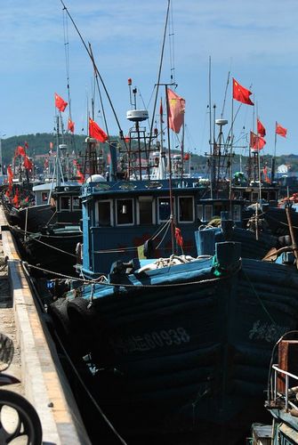 本網直擊開海首日大豐收