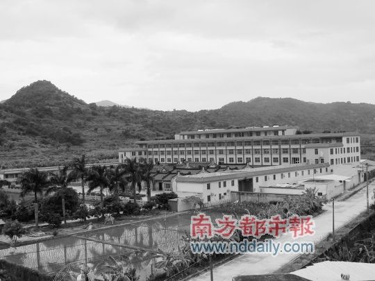 潮陽(yáng)耕地變身最豪華祠堂建筑 造價(jià)上千萬(wàn)