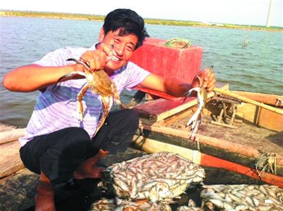 青島今年大閘蟹更鮮美 養殖戶喂足青魚蛤蜊頂蓋兒肥 青島今年大閘蟹更鮮美 養殖戶喂足青魚蛤蜊頂蓋兒肥