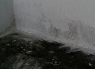 青島萬科三百萬豪宅大面積滲水 開發商稱正常