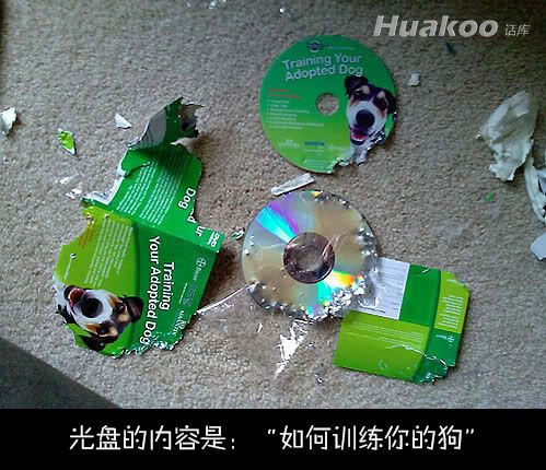 極品爆笑圖 笑點低慎入