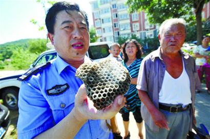 湖島新村上演人蜂大戰 冰火齊發將其拿下