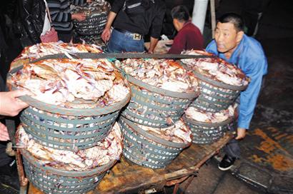5地梭子蟹螯戰青島 每天72噸