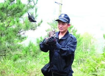 森林管護隊長：鳥網救下千只鳥 摔下山頭盔救命
