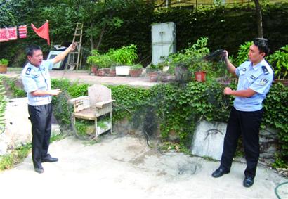 延吉路空地現絕戶網 小鳥被掛奄奄一息