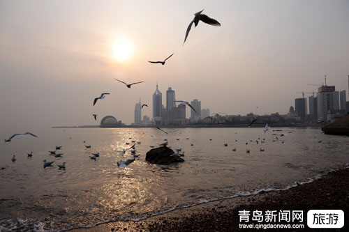 青島市南區(qū)旅游調查報告:旅游旺季市南交通全喊堵