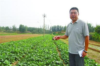 青島年入百萬包工頭隱居山林 賞如畫風景種菜養鴨