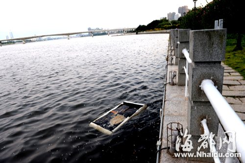 閩江公園南園沿線，閩江混雜污水，漂著垃圾，散發出腥臭。
