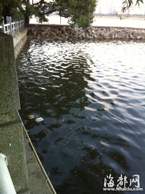 閩江公園南園沿線，閩江混雜污水，漂著垃圾，散發(fā)出腥臭。
