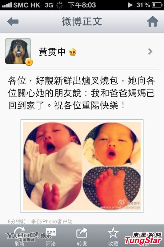 朱茵產女 震撼成長史大揭秘