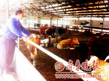 牛魔王駕到1斤牛肉抵2斤多豬肉 牛肉專柜轉行