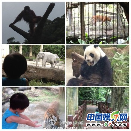 林志穎曬兒子飛車照 贊小kimi自創三輪車新騎法(圖)