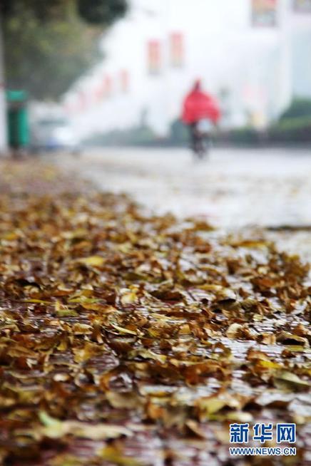 #（社會）（2）寒潮侵襲北方大部 多地現大范圍降溫雨雪天氣