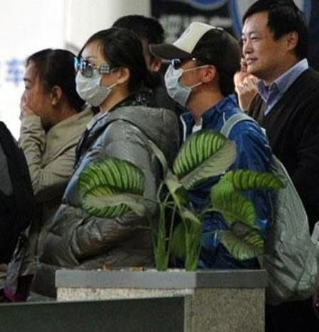 男星?；ɡ掀糯驪K 