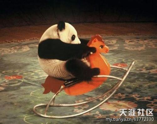 極品搞笑圖 能把人笑成神經病