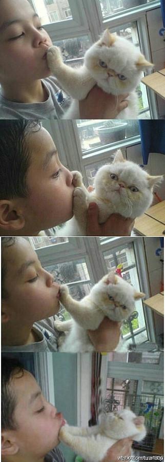 極品搞笑圖 能把人笑成神經病