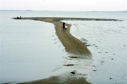 保護母親灣寸海都珍惜