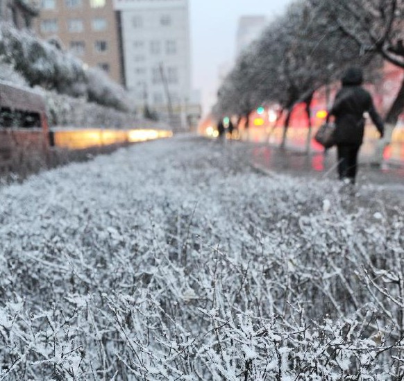 暴雪強襲東北大部 多地大雪將持續