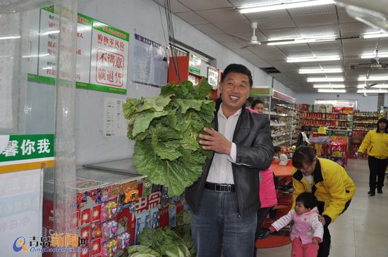 平度白菜豐收銷售遇冷:全民總動員拯救菜賤傷農