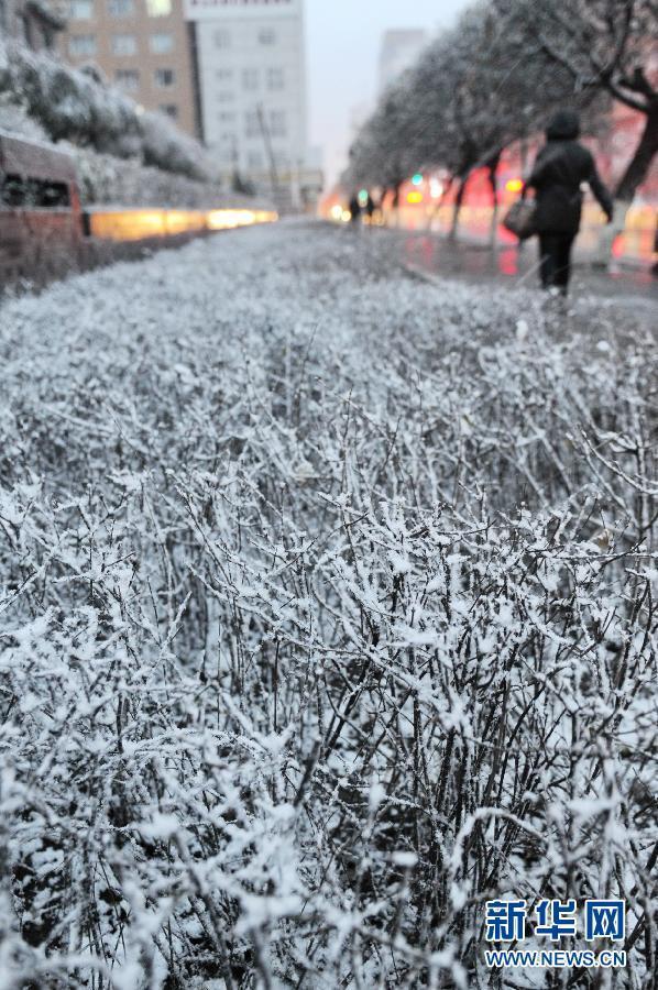 （生態）（3）內蒙古東部、東北大部遭遇寒潮降雪天氣