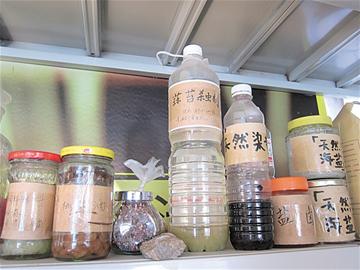 青島80后情侶裸婚辭職進山隱居 生吃菜自建屋