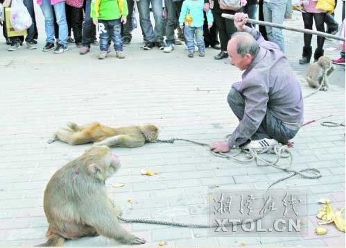 　　耍猴人當街暴打猴子，引起圍觀市民的反感。(豎戈攝)