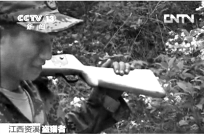 記者在資溪縣一林場看到三名盜獵者。央視截屏