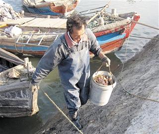 青島難尋海捕海鮮 海捕蟹比養殖蟹貴1倍1只就夠油費