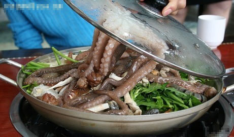 2，活章魚；韓國
