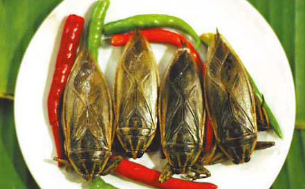 3，蚱蜢；烏干達