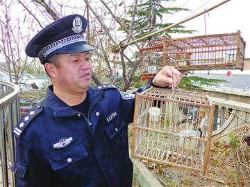 青年廢棄廠區架網捕鳥