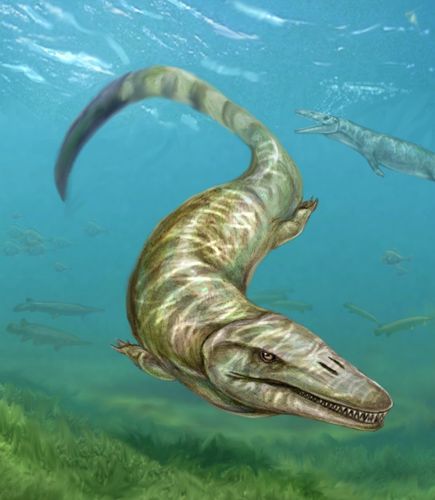 藝術家描繪的8400萬年前淡水中游動的類似鱷魚的“水怪”