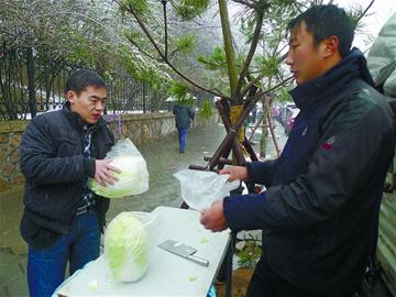 市人大代表、政協委員關注“菜事”建議拓寬銷售渠道