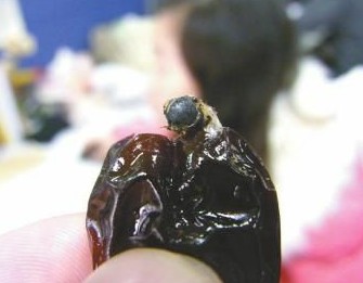 阿膠棗吃出半只像蒼蠅昆蟲(chóng) 廠家稱是蜜蜂