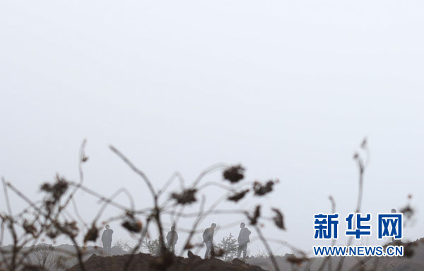 云南鎮雄澄清“滑坡與煤礦瓦斯爆炸有關”流言