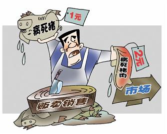 一斤1元回收400頭病死豬 加工后賣到臺東批發(fā)市場