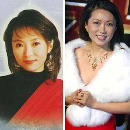 楊鈺瑩等90年代內地紅歌星今昔對比